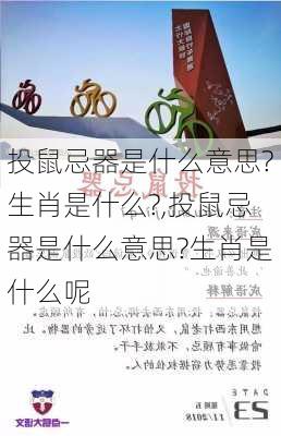 投鼠忌器是什么意思?生肖是什么?,投鼠忌器是什么意思?生肖是什么呢