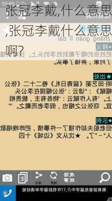 张冠李戴,什么意思,张冠李戴什么意思啊?