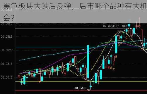 黑色板块大跌后反弹，后市哪个品种有大机会？