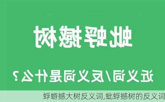 蜉蝣撼大树反义词,蚍蜉撼树的反义词