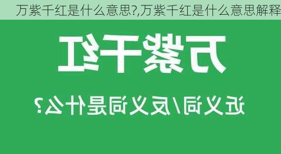 万紫千红是什么意思?,万紫千红是什么意思解释