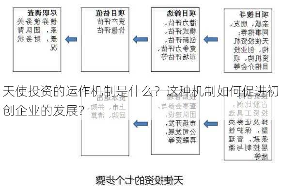 天使投资的运作机制是什么？这种机制如何促进初创企业的发展？