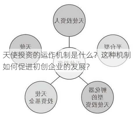 天使投资的运作机制是什么？这种机制如何促进初创企业的发展？