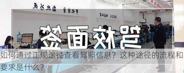 如何通过正规途径查看驾照信息？这种途径的流程和要求是什么？