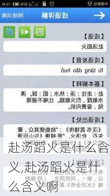 赴汤蹈火是什么含义,赴汤蹈火是什么含义啊