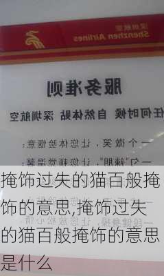 掩饰过失的猫百般掩饰的意思,掩饰过失的猫百般掩饰的意思是什么