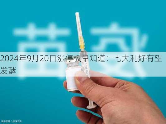 2024年9月20日涨停板早知道：七大利好有望发酵