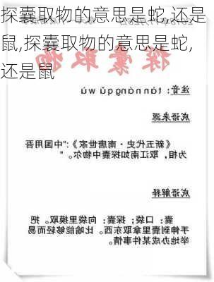 探囊取物的意思是蛇,还是鼠,探囊取物的意思是蛇,还是鼠