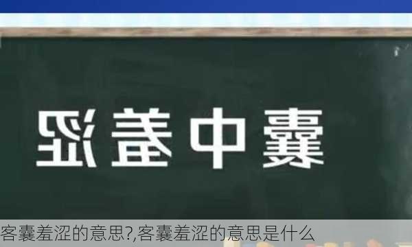 客囊羞涩的意思?,客囊羞涩的意思是什么