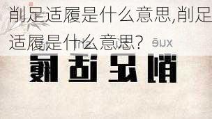 削足适履是什么意思,削足适履是什么意思?