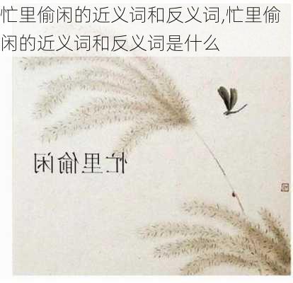 忙里偷闲的近义词和反义词,忙里偷闲的近义词和反义词是什么