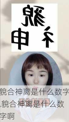 貌合神离是什么数字,貌合神离是什么数字啊