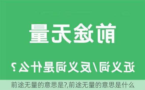 前途无量的意思是?,前途无量的意思是什么