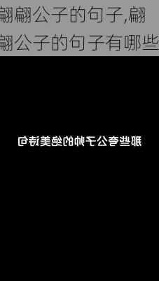 翩翩公子的句子,翩翩公子的句子有哪些