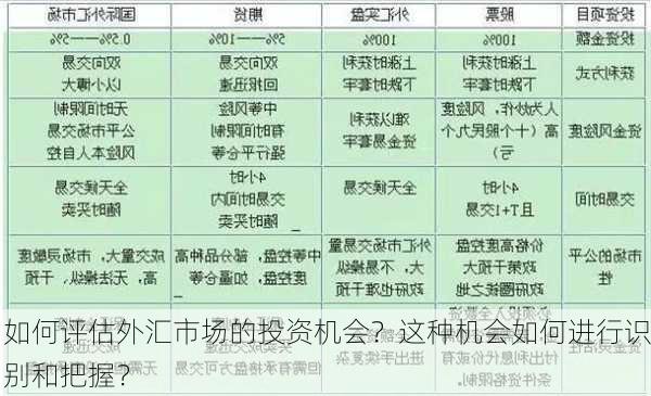 如何评估外汇市场的投资机会？这种机会如何进行识别和把握？