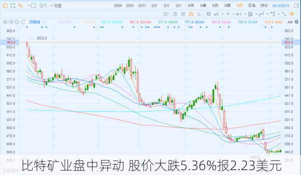 比特矿业盘中异动 股价大跌5.36%报2.23美元