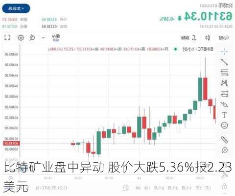 比特矿业盘中异动 股价大跌5.36%报2.23美元