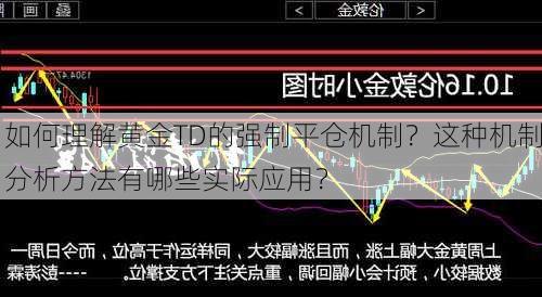 如何理解黄金TD的强制平仓机制？这种机制分析方法有哪些实际应用？