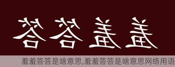 羞羞答答是啥意思,羞羞答答是啥意思网络用语