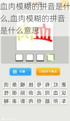血肉模糊的拼音是什么,血肉模糊的拼音是什么意思