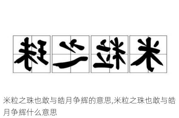 米粒之珠也敢与皓月争辉的意思,米粒之珠也敢与皓月争辉什么意思