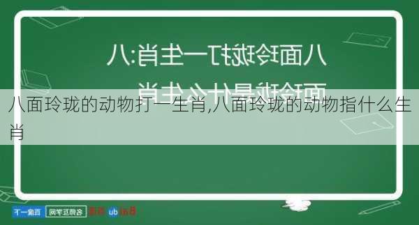 八面玲珑的动物打一生肖,八面玲珑的动物指什么生肖