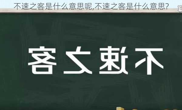 不速之客是什么意思呢,不速之客是什么意思?