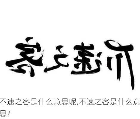 不速之客是什么意思呢,不速之客是什么意思?