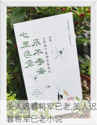 美人迟暮将军已老,美人迟暮将军已老小说