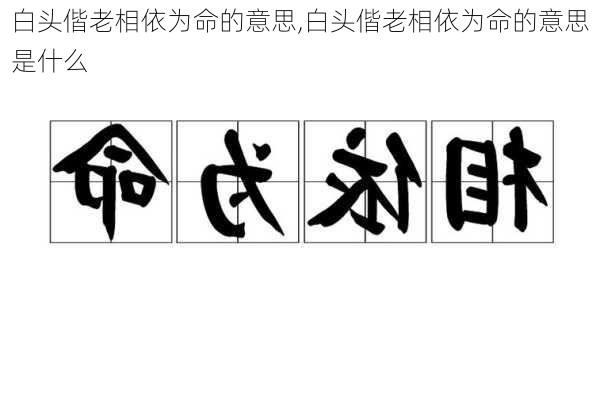 白头偕老相依为命的意思,白头偕老相依为命的意思是什么