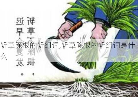 斩草除根的斩组词,斩草除根的斩组词是什么