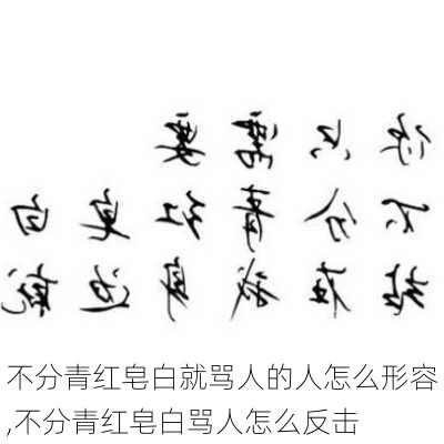 不分青红皂白就骂人的人怎么形容,不分青红皂白骂人怎么反击