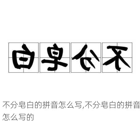 不分皂白的拼音怎么写,不分皂白的拼音怎么写的