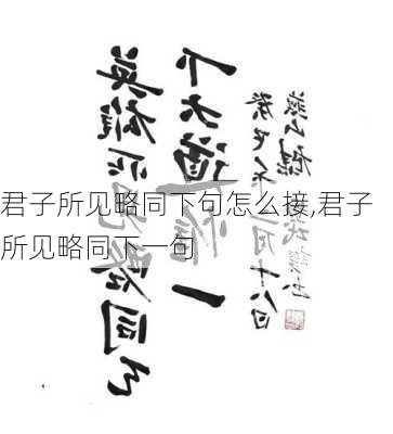 君子所见略同下句怎么接,君子所见略同下一句