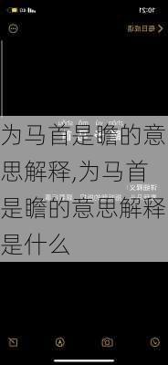 为马首是瞻的意思解释,为马首是瞻的意思解释是什么