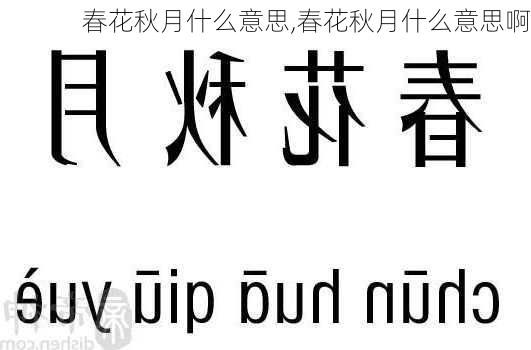 春花秋月什么意思,春花秋月什么意思啊