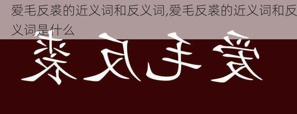 爱毛反裘的近义词和反义词,爱毛反裘的近义词和反义词是什么