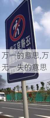 万一的意思,万无一失的意思