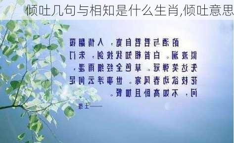 倾吐几句与相知是什么生肖,倾吐意思