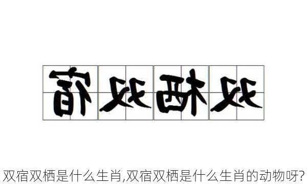 双宿双栖是什么生肖,双宿双栖是什么生肖的动物呀?