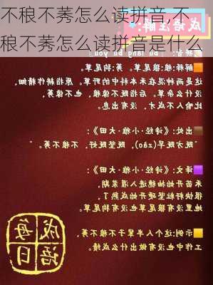 不稂不莠怎么读拼音,不稂不莠怎么读拼音是什么