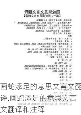 画蛇添足的意思文言文翻译,画蛇添足的意思文言文翻译和注释