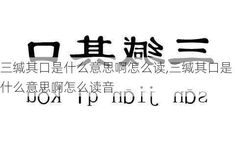 三缄其口是什么意思啊怎么读,三缄其口是什么意思啊怎么读音