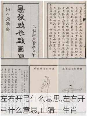 左右开弓什么意思,左右开弓什么意思,止猜一生肖