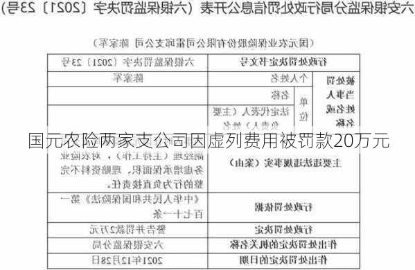 国元农险两家支公司因虚列费用被罚款20万元