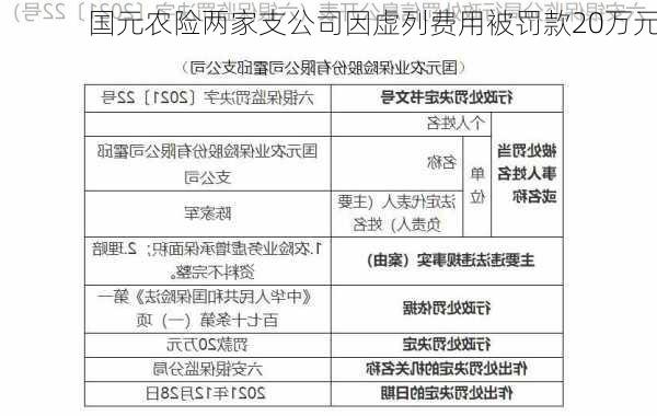 国元农险两家支公司因虚列费用被罚款20万元