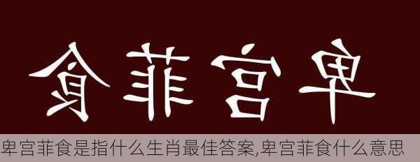 卑宫菲食是指什么生肖最佳答案,卑宫菲食什么意思