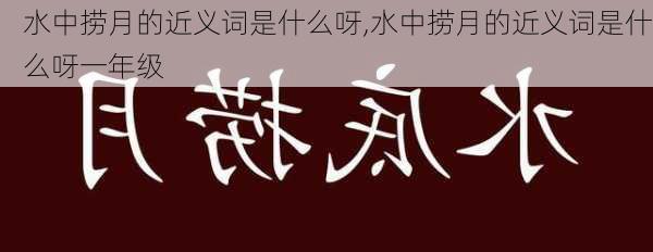 水中捞月的近义词是什么呀,水中捞月的近义词是什么呀一年级