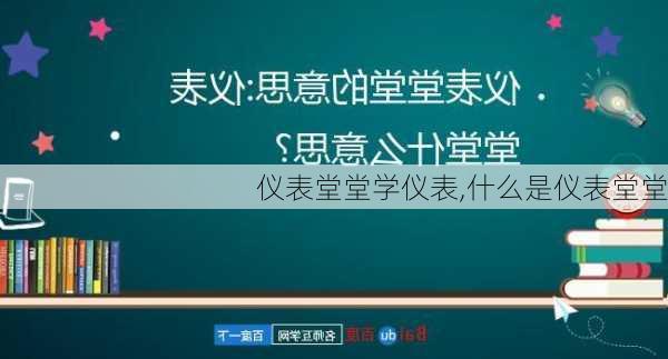 仪表堂堂学仪表,什么是仪表堂堂