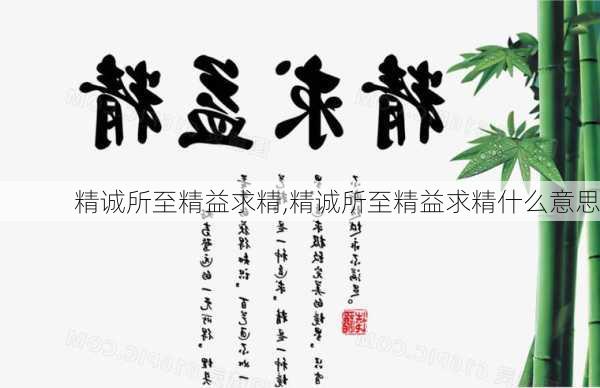 精诚所至精益求精,精诚所至精益求精什么意思